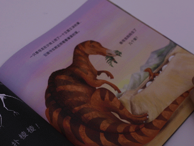 「你的育儿经」亲子科学实验：做个“不插电”手电筒，在家带娃探索海底世界！