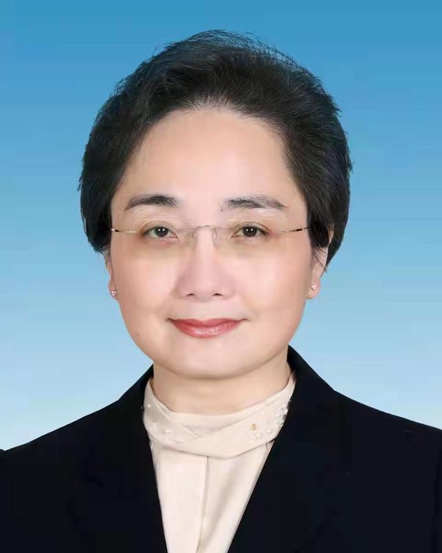 李莉当选北海市市长图简历