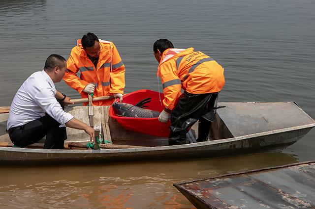 大众报业·大众日报客户端 2021-05-23 05:58:44  据悉,岩马湖水库